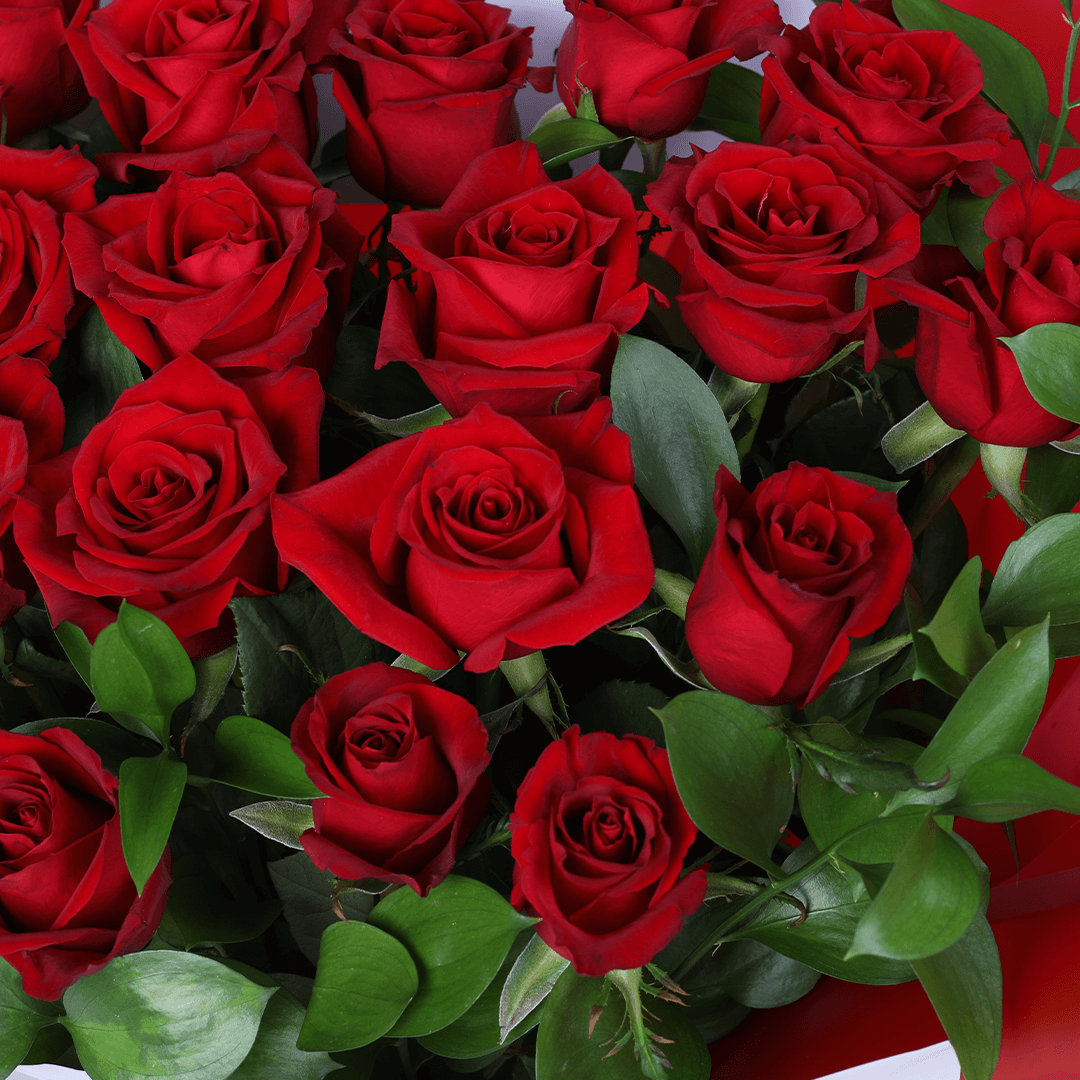 Romantic Crimson 25 Rose Bouquet arranged with 25 red roses with lush foliage