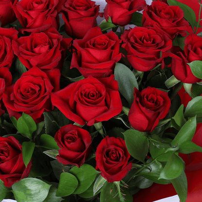 Romantic Crimson 25 Rose Bouquet arranged with 25 red roses with lush foliage