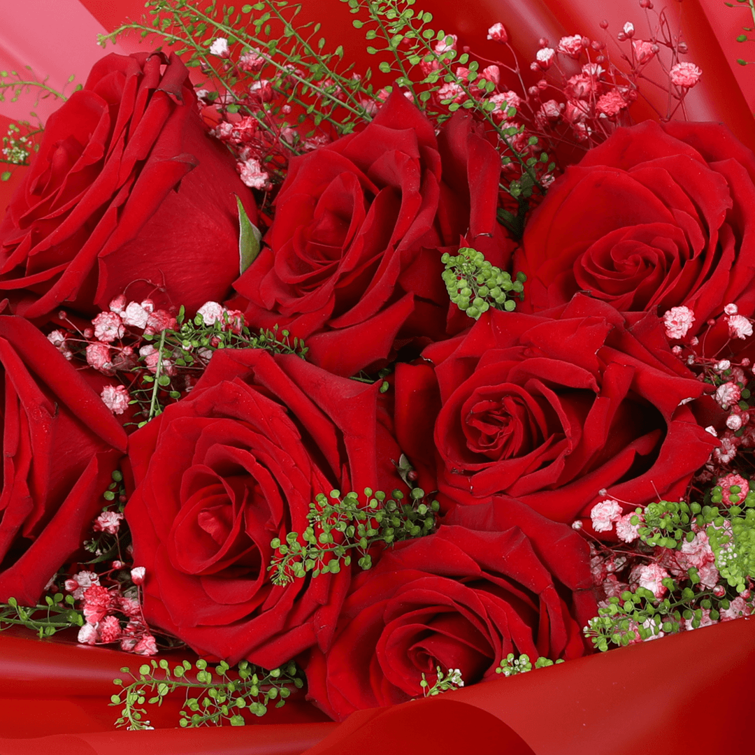 Timeless Love 10 Red Rose Bouquet arranged with 10 fresh red roses with soft fillers