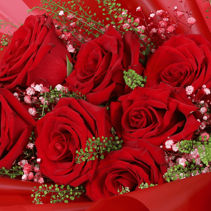 Timeless Love 10 Red Rose Bouquet arranged with 10 fresh red roses with soft fillers