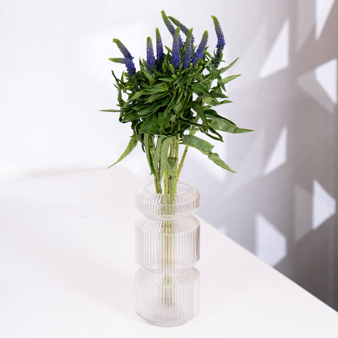 Veronica flowers displayed as cut stems wrapped in brown sheet