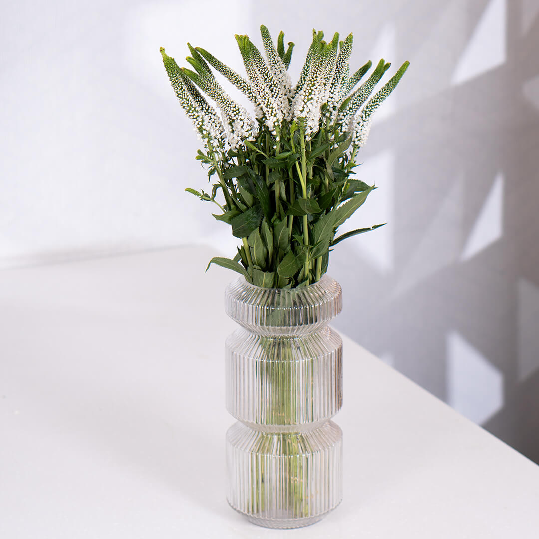 Veronica flowers displayed as cut stems wrapped in brown sheet
