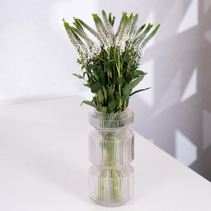 Veronica flowers displayed as cut stems wrapped in brown sheet