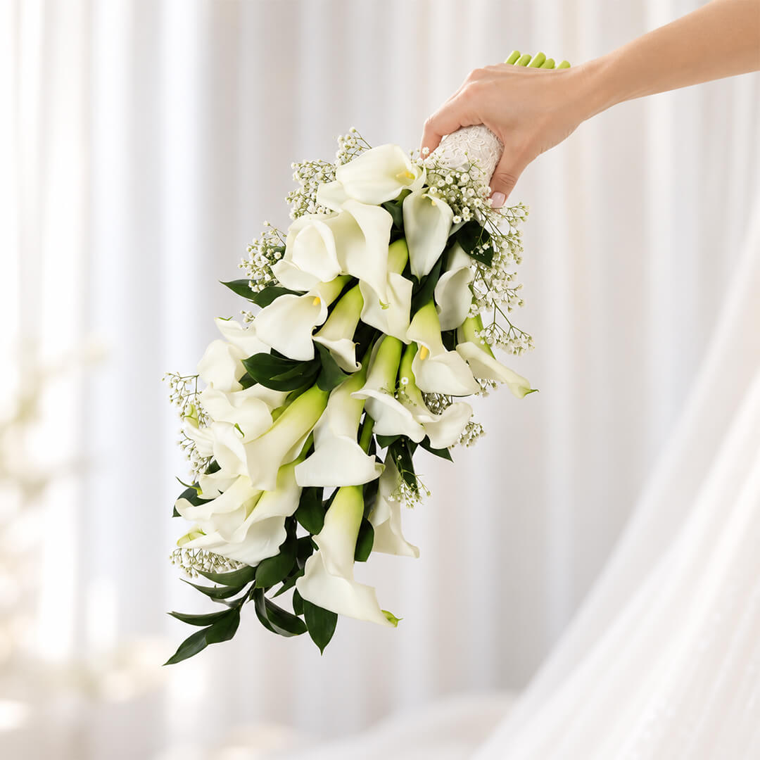 White calla lily with delicate gypsophila flowers arranged in a minimalist hand-tied wrap.