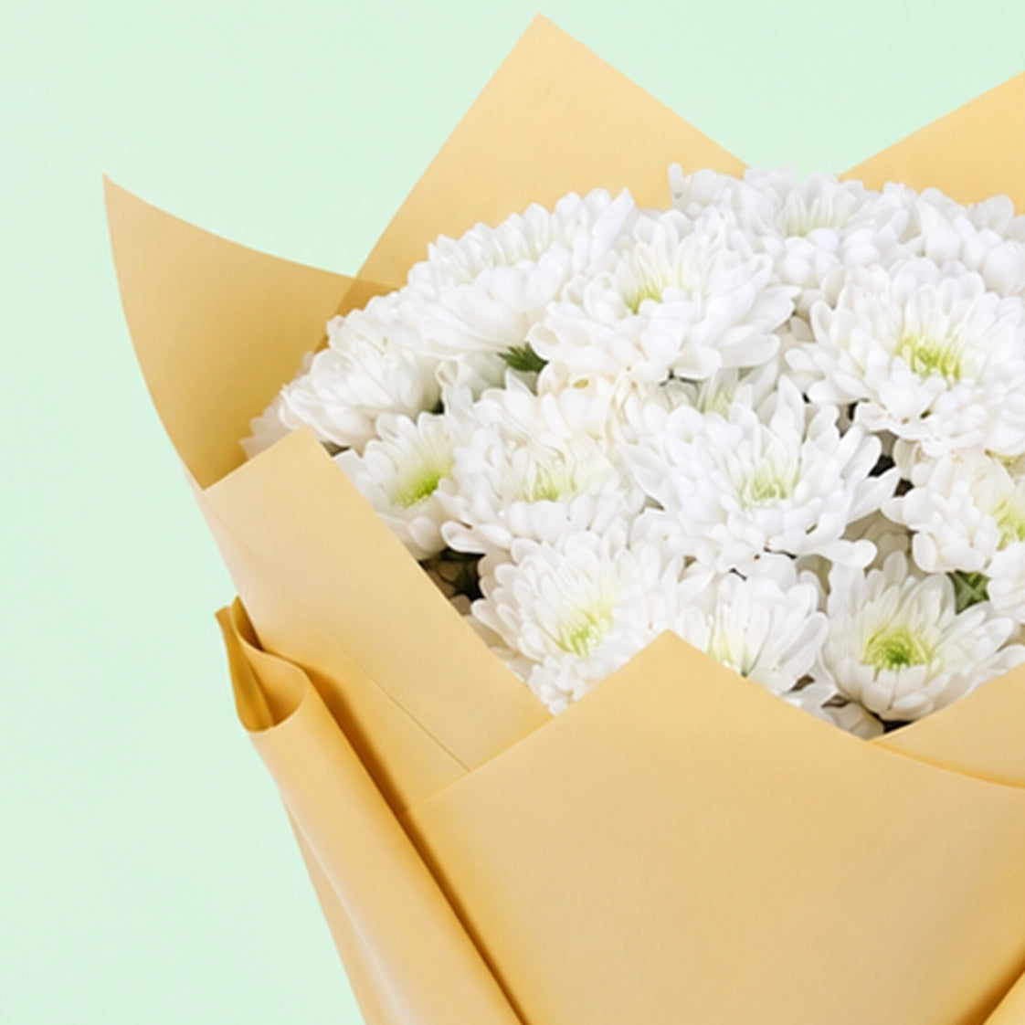 White Floral Symphony Chrysanthemum bouquet with fresh white flowers and graceful styling
