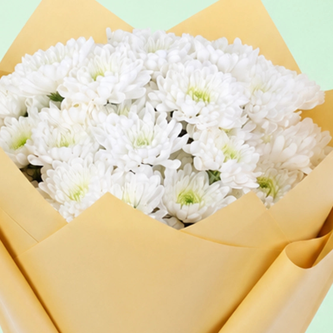 White Floral Symphony Chrysanthemum bouquet with fresh white flowers and graceful styling
