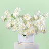 Serene White Box