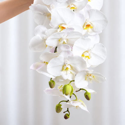 Sophisticated wedding bouquet featuring Phalaenopsis orchid flowers arranged in a stunning cascade style