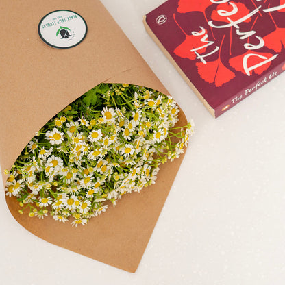 White Tanacetum cut flowers presented in brown paper wrapping