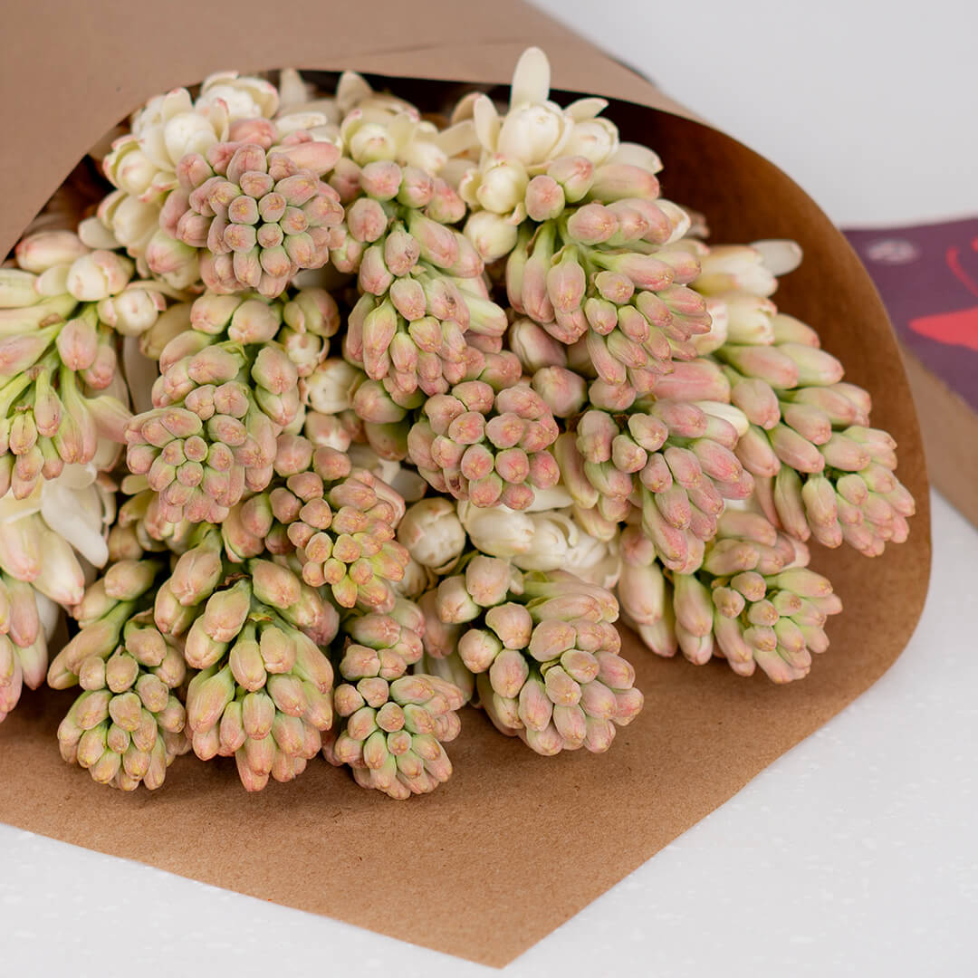 White Tuberose cut flowers featuring delicate, clustered blooms wrapped in a brown sheet