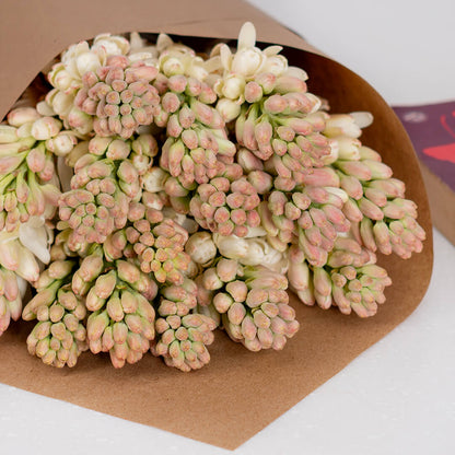 White Tuberose cut flowers featuring delicate, clustered blooms wrapped in a brown sheet