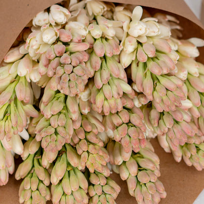 White Tuberose cut flowers featuring delicate, clustered blooms wrapped in a brown sheet