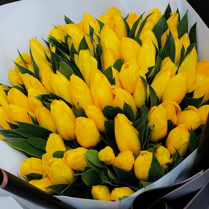 Yellow tulips arranged in layered black and white non-woven wrapping