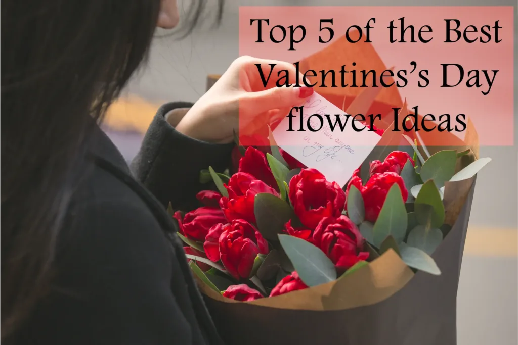 Top 5 of the Best Valentine's Day Flower Ideas | Black Tulip Flowers India