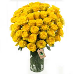 50 yellow roses | Blacktulipflowers.in