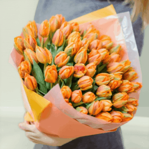 Saffron Tulip Flower Bouquet with fresh orange tulips wrapped elegantly for gifting and special occasions