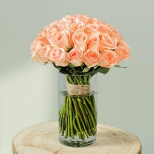 A bunch of peach roses in a glass cylinder vase