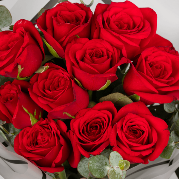 Buy Red Roses - Order 10 Red Roses Bouquet Online | BTF.in