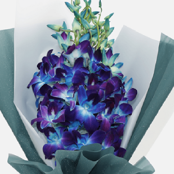 Buy Blue Orchid Online in India - BTF.in