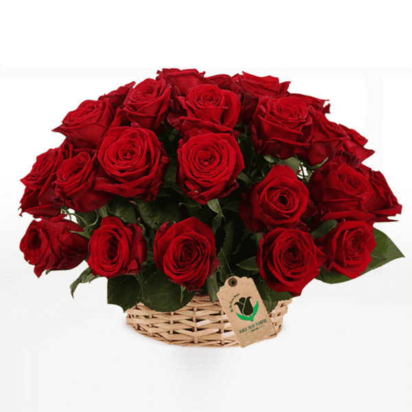 Buy Flowers Online - %title% %sep% order roses online