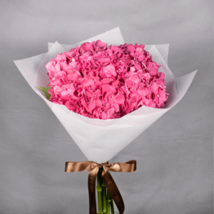 Beautiful Pink Hydrangea - Order Hydrangea Bouquet | BTF.in