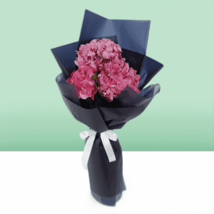 Bunch of Dark Pink Hydrangeas | Exotic Hydrangea Flowers | BTF.in