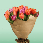 Summer Tulip (1)