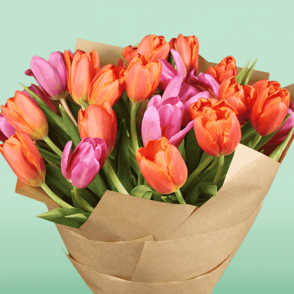 Stunning orange and pink tulips bouquet wrapped in a grey cellophane sheet.