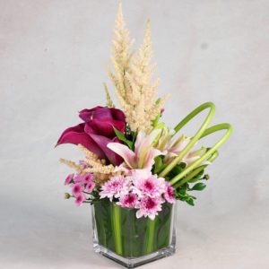 Buy Lily Flowers