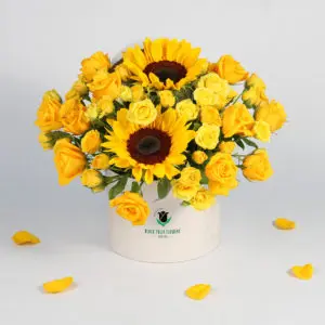 The Sunshiny Blooms - Send/Buy Sunflower in Box | BTF.in