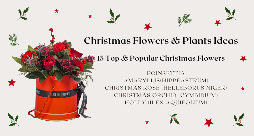 Top 15 Christmas Flowers and Plants Ideas