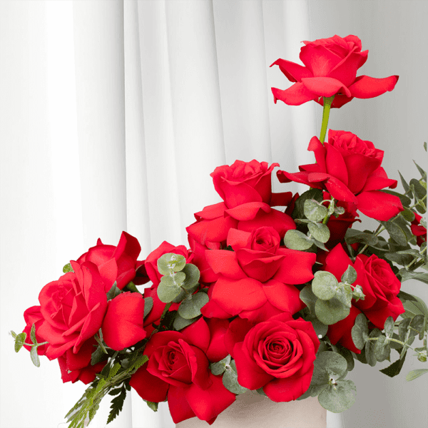 The Perfect Valentines Roses - All of Me in Red Roses | BTF