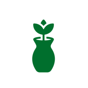 Flowers Subscription