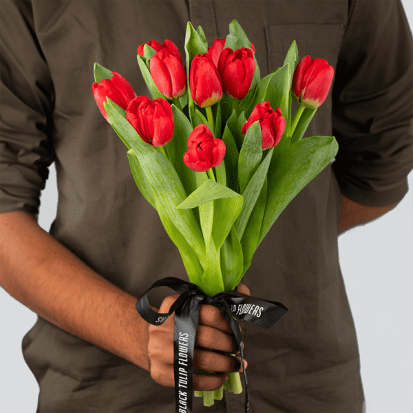 Dance of Red Tulip Flowers: Unchained Melody Tulips by BTF