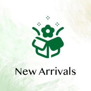 New Arrivals - Black Tulip Flowers