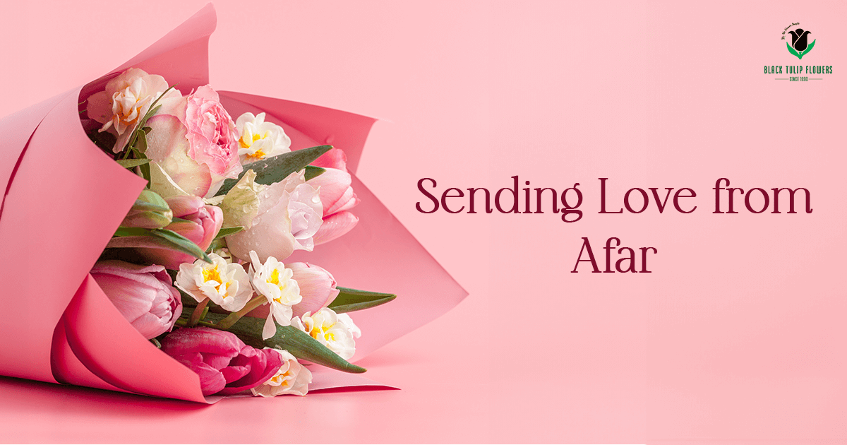 Flower Delivery Bangalore India - Sending Love From Afar? Opt For 