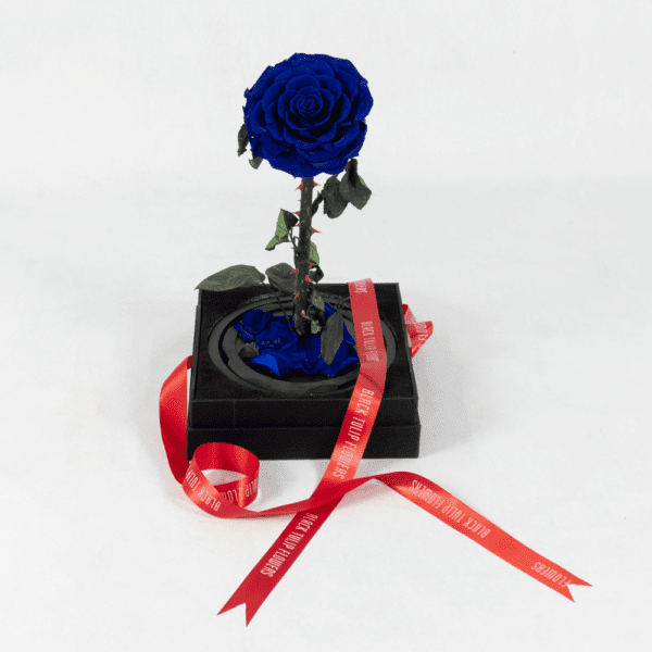 The Unexpected Blue - Preserved Rose : Explore Preserved Bouquet in Bangalore | Order Now at Black Tulip Flowers