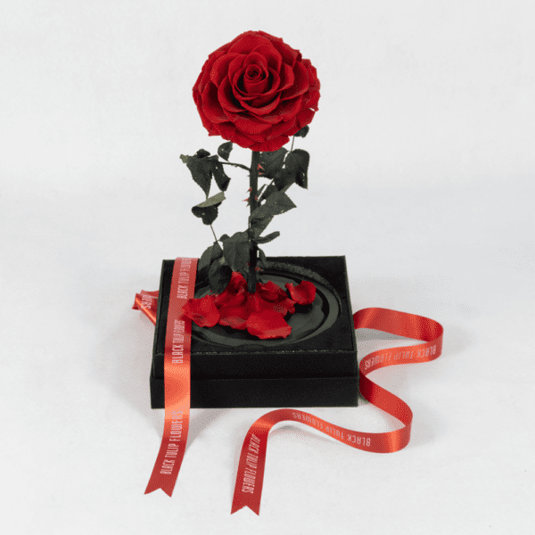 Bleeding Heart - Preserved Rose : Explore Preserved Flower in Bangalore | Order Now at Black Tulip Flowers