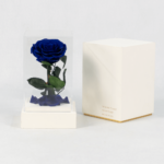 The Unexpected Blue - Preserved Rose