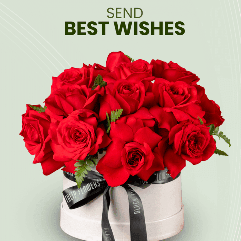 Best Wishes - Red roses in white round box