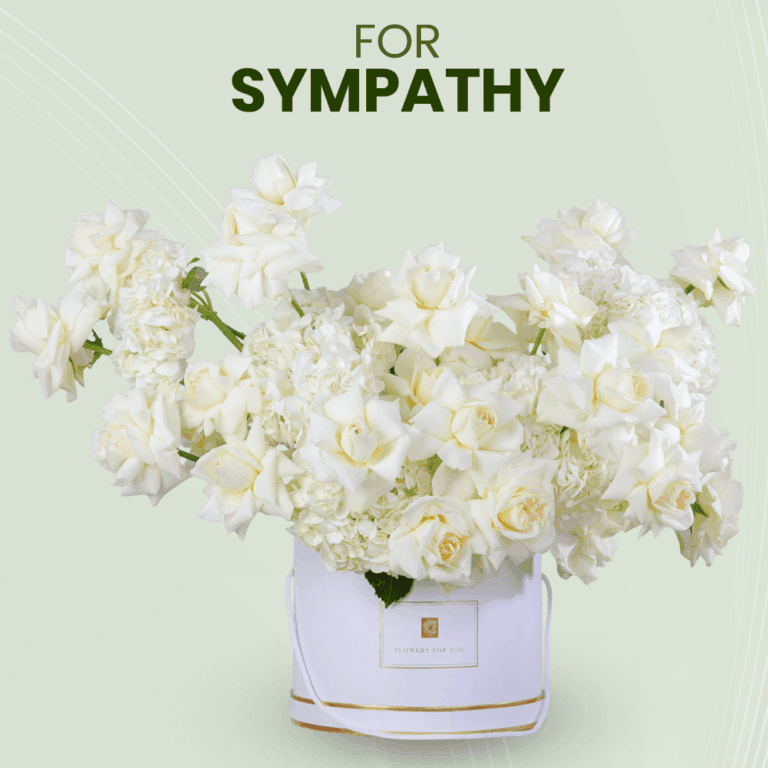 Sympathy - White Roses in white round box