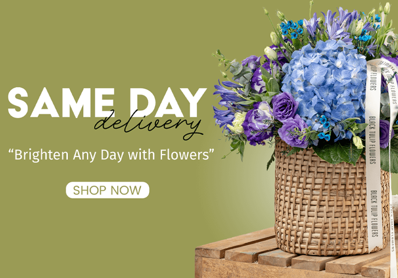 Same Day Delivery Flowers in India