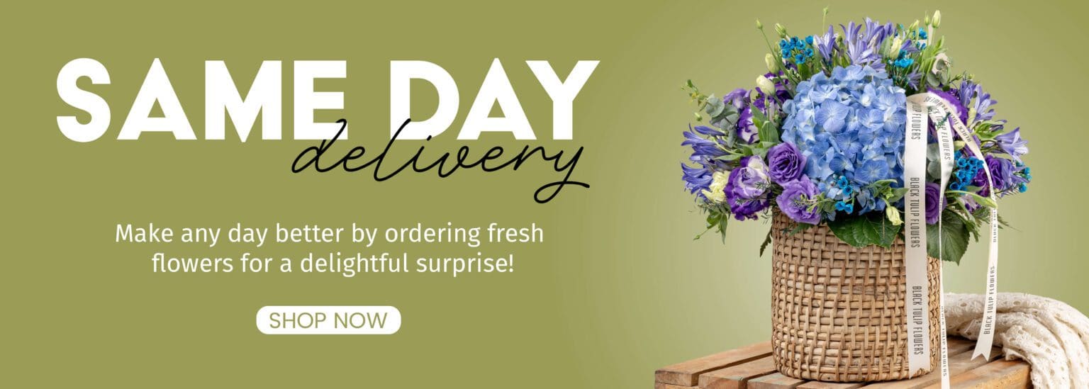 Same day flowers collections