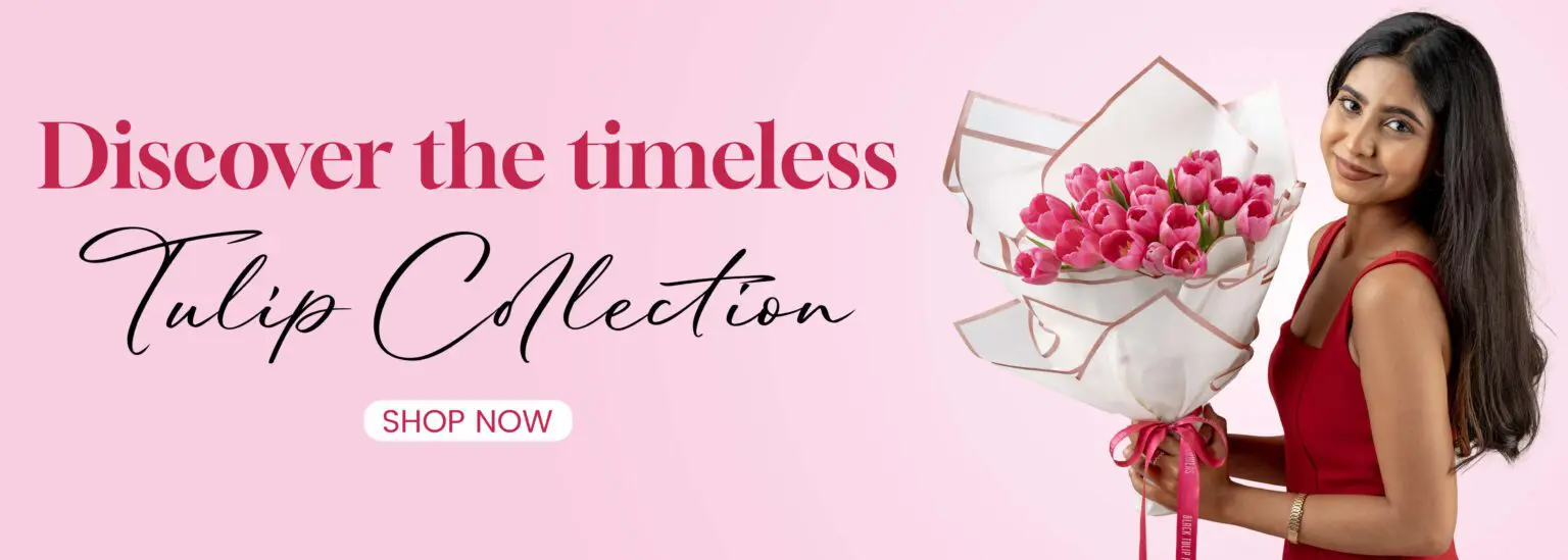 Tulip Flowers Collection