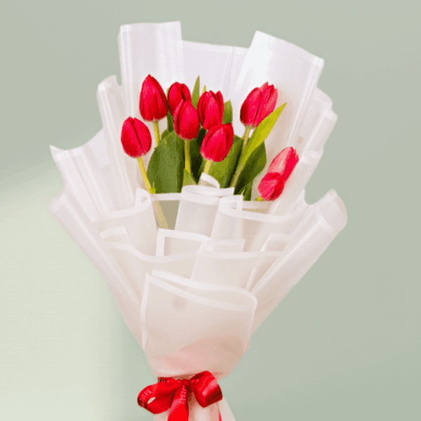 10 red tulips bouquet wrapped in white Korean flower paper with red satin ribbon