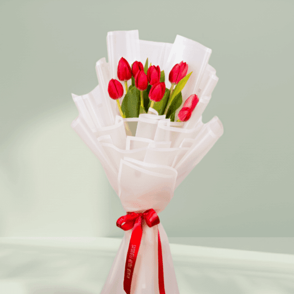 10 red tulips bouquet wrapped in white Korean flower paper with red satin ribbon